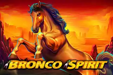 Bronco Spirit™